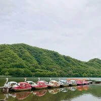 ブログ画像