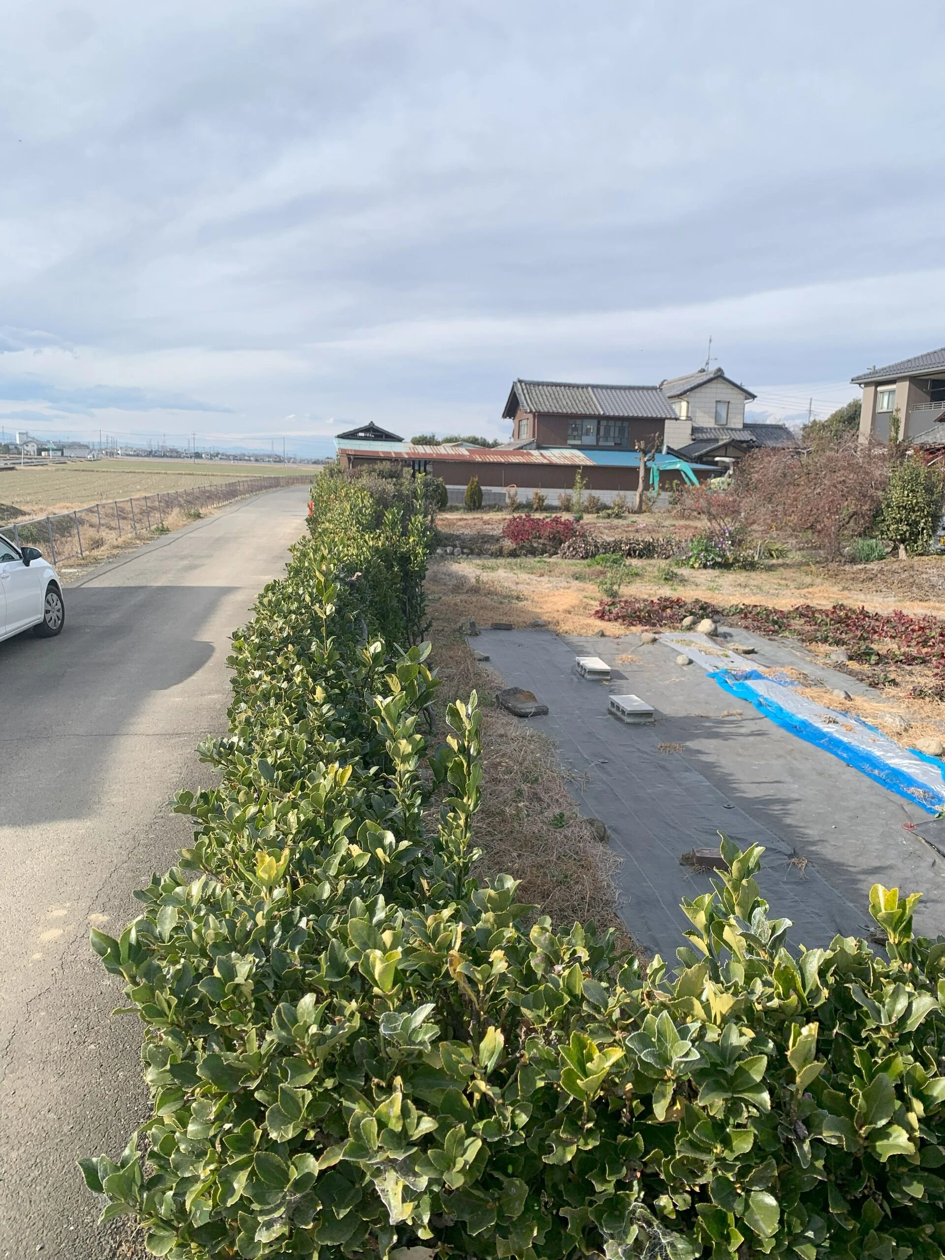 画像6121：熊谷の土地